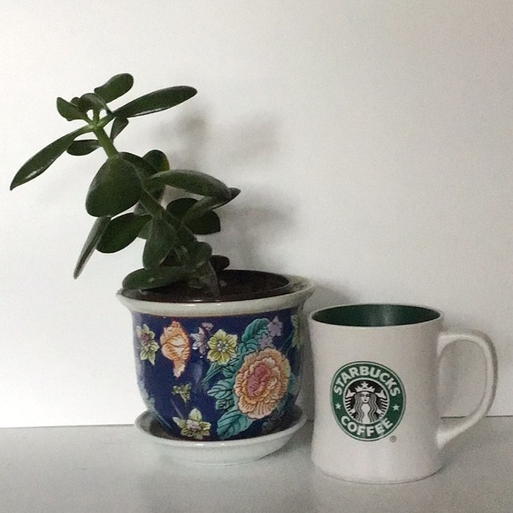 Starbucks Mug - Picture 1 of 4